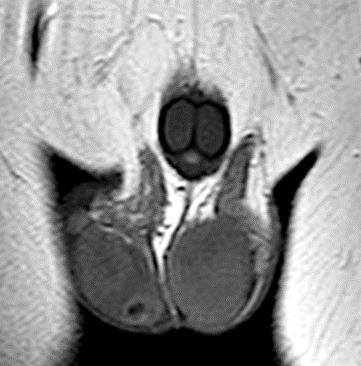 Изображение на обложке