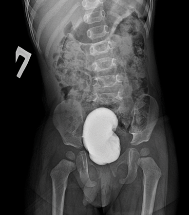 Изображение на обложке