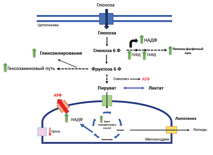 Изображение на обложке