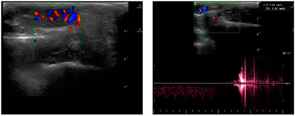 Изображение на обложке
