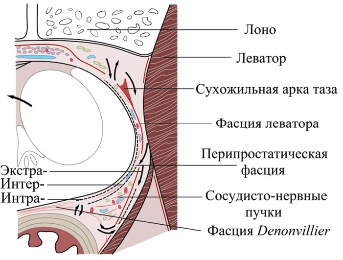Изображение на обложке