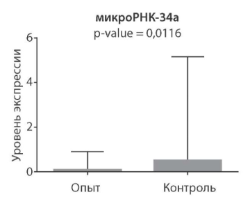 Изображение на обложке