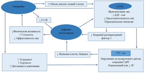 Изображение на обложке